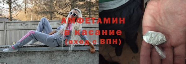 СК Пересвет