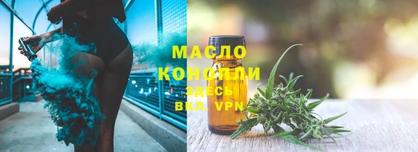 дмт Пестово