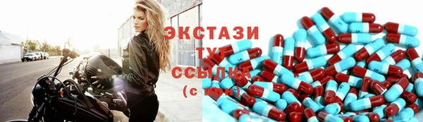 СК Пересвет