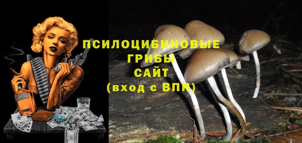 соль курить ск Переславль-Залесский