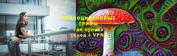 дурь Осташков