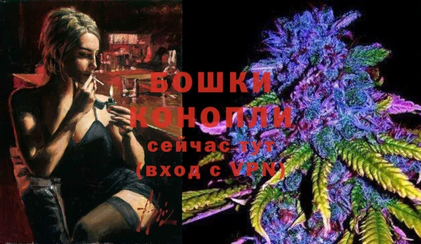 дурь Осташков