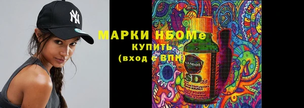 дурь Осташков