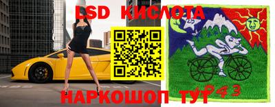 ПСИЛОЦИБИНОВЫЕ ГРИБЫ Абакан