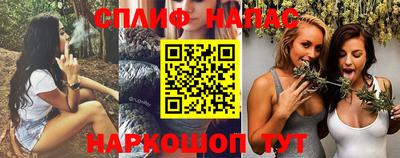 шишки Гусь-Хрустальный