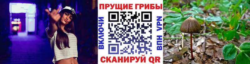 MEGA вход  Туймазы  Псилоцибиновые грибы Psilocybine cubensis 