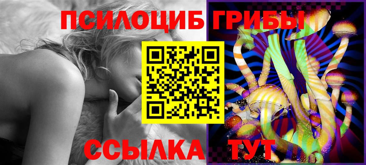 Галлюциногенные грибы Psilocybine cubensis Туймазы