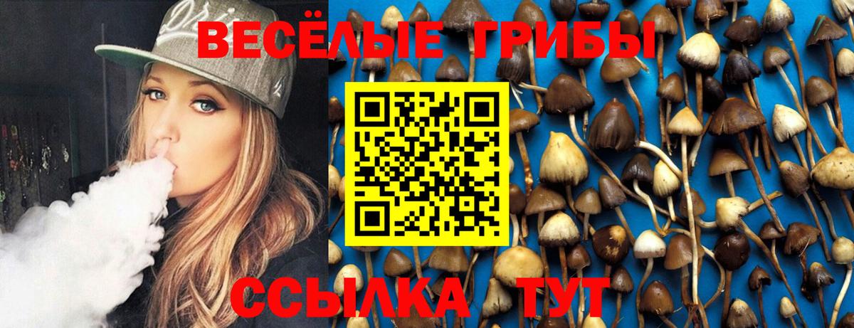 Галлюциногенные грибы мухоморы  Галлюциногенные грибы Psilocybine cubensis  Туймазы 