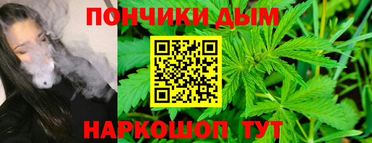Канабис гибрид  Шишки марихуана семена  Бошки Шишки Ganja  Туймазы 